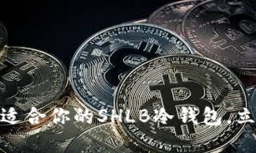 2025必看！如何选择适合你的SHLB冷钱包，立即保护你的数字资产