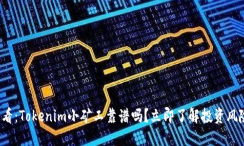 2025必看：Tokenim小矿工靠谱吗？立即了解投资风险与潜力