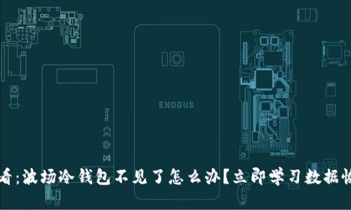 2025必看：波场冷钱包不见了怎么办？立即学习数据恢复技巧！