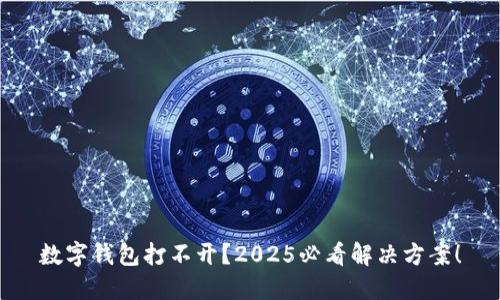 数字钱包打不开？2025必看解决方案！