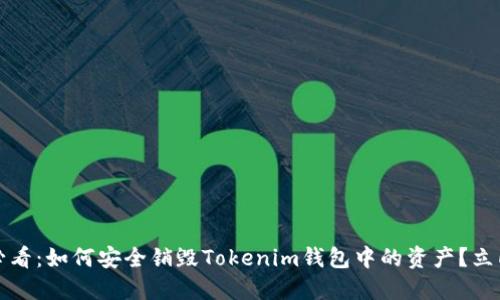 2025必看：如何安全销毁Tokenim钱包中的资产？立即了解！