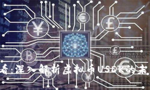 2025必看：深入解析虚拟币USDK的未来与潜力