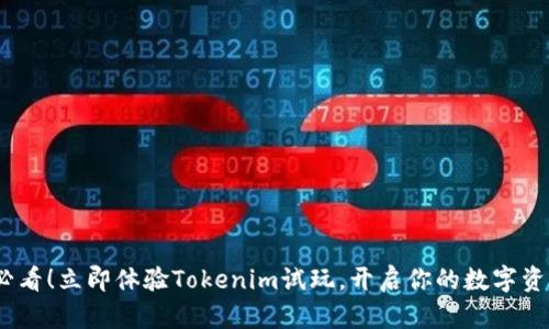 2025必看！立即体验Tokenim试玩，开启你的数字资产之旅