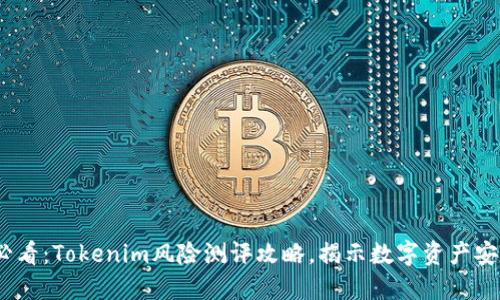 2025必看：Tokenim风险测评攻略，揭示数字资产安全之道