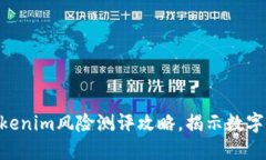 2025必看：Tokenim风险测评攻略，揭示数字资产安全