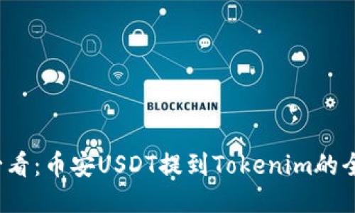 2025必看：币安USDT提到Tokenim的全面指南