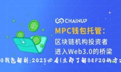 BEP20钱包解析：2025必看！立即了解BEP20的方方面面