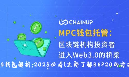 BEP20钱包解析：2025必看！立即了解BEP20的方方面面