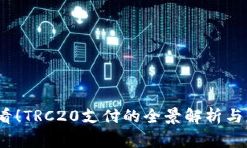 2025必看！TRC20支付的全景解析与应用策略