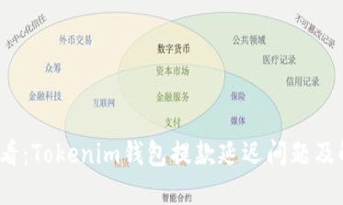 2025必看：Tokenim钱包提款延迟问题及解决方案