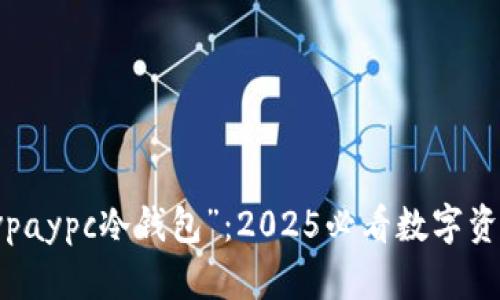 立即了解“vpaypc冷钱包”：2025必看数字资产安全工具