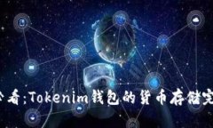 2025必看：Tokenim钱包的货币存储完全指南