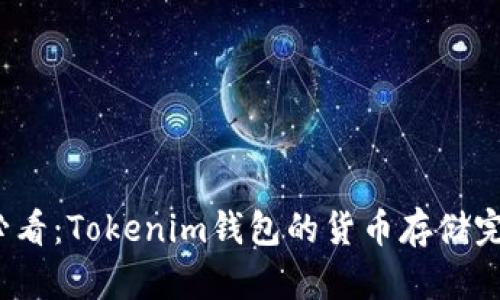 2025必看：Tokenim钱包的货币存储完全指南