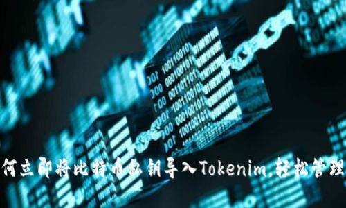 2025必看：如何立即将比特币私钥导入Tokenim，轻松管理你的数字资产