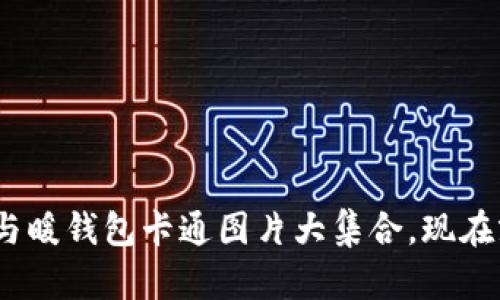 2025必看：趣味冷钱包与暖钱包卡通图片大集合，现在就来探索这些创意设计！