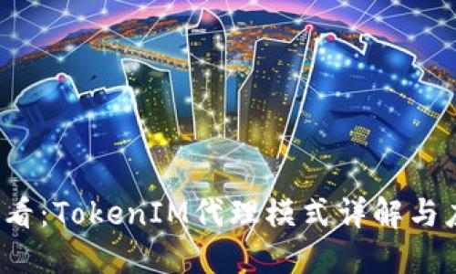 2025必看：TokenIM代理模式详解与应用实践