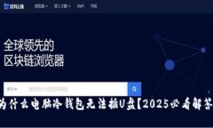为什么电脑冷钱包无法插U盘？2025必看解答！