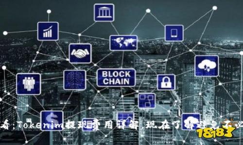 2025必看：Tokenim提现费用详解，现在了解避免不必要损失！