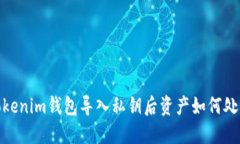 2025必看：Tokenim钱包导入私钥后资产如何处置？立