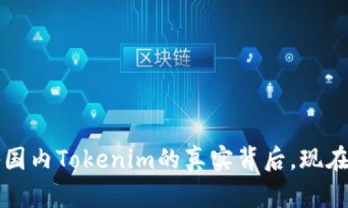 2025必看：揭秘国内Tokenim的真实背后，现在了解，不容错过！