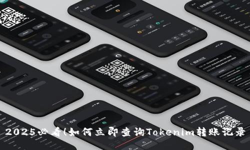 2025必看！如何立即查询Tokenim转账记录