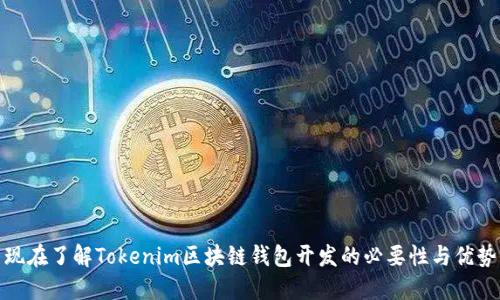 现在了解Tokenim区块链钱包开发的必要性与优势