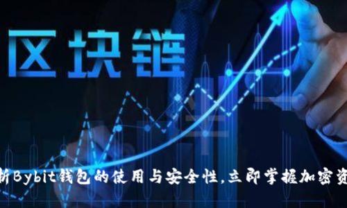 2025必看：深入解析Bybit钱包的使用与安全性，立即掌握加密资产管理的最新策略