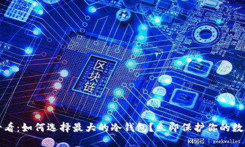2025必看：如何选择最大的冷钱包？立即保护你的数字资产！