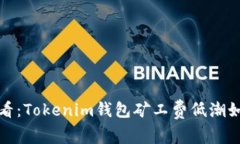 2025必看：Tokenim钱包矿工费低潮如何把握？