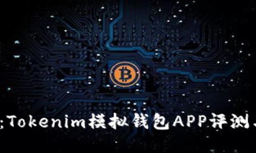 2025必看：Tokenim模拟钱包APP评测与使用指南