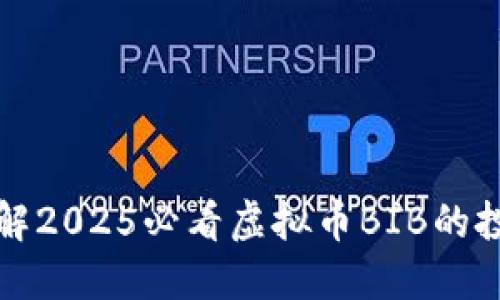 立即了解2025必看虚拟币BIB的投资机会