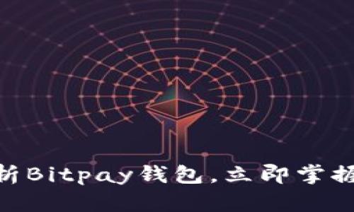 2025必看：全面解析Bitpay钱包，立即掌握加密货币管理诀窍