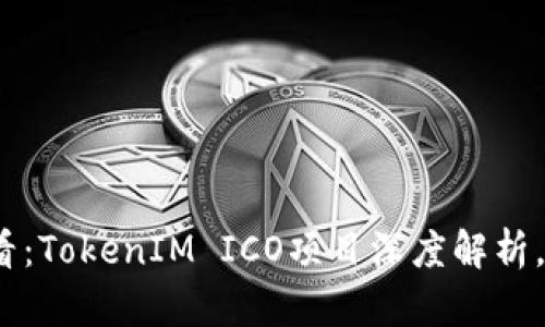 2025年必看：TokenIM ICO项目深度解析，投资者必读