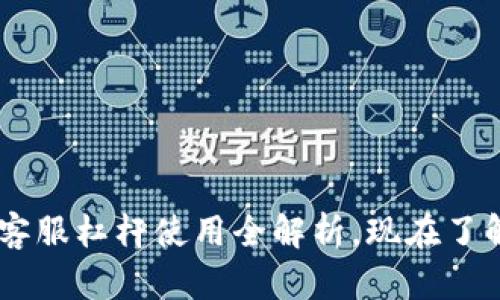 2025必看：Tokenim客服杠杆使用全解析，现在了解如何提高交易效率！