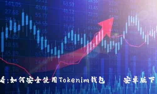 2025必看：如何安全使用Tokenim钱包 – 安卓版下载与指南