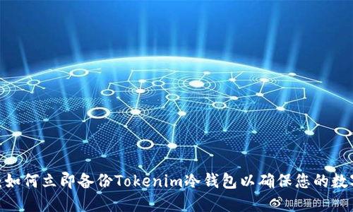 2025必看：如何立即备份Tokenim冷钱包以确保您的数字资产安全
