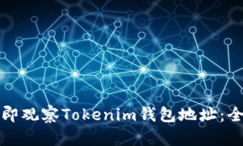 如何立即观察Tokenim钱包地址：全面指南