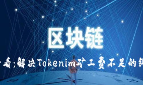 2025必看：解决Tokenim矿工费不足的终极指南