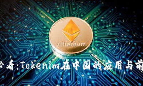2025必看：Tokenim在中国的应用与前景分析
