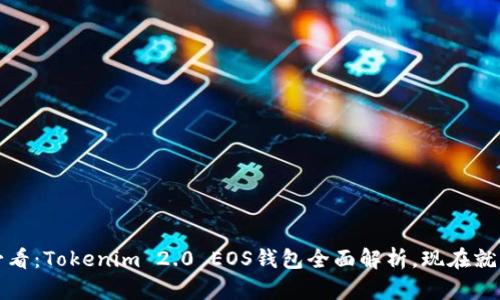 2025必看：Tokenim 2.0 EOS钱包全面解析，现在就来了解！