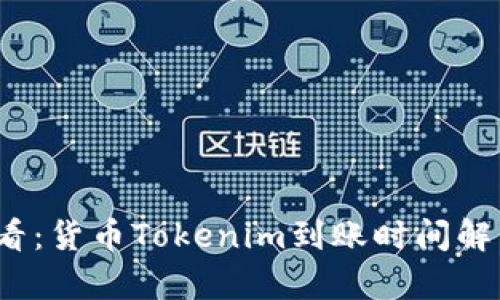2025必看：货币Tokenim到账时间解析与技巧