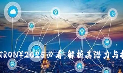 波场币（TRON）2025必看：解析其潜力与投资机会