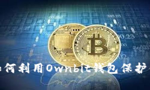 2025必看：如何利用Ownbit钱包保护你的数字资产