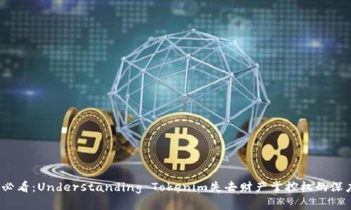 2025必看：Understanding Tokenim失去财产掌控权的深度解析