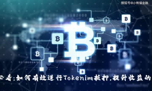 2025必看：如何有效进行Tokenim抵押，提升收益的全攻略
