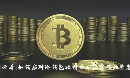 2025必看：如何应对冷钱包比特币忘记密码的紧急情况