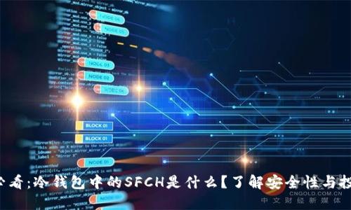 2025必看：冷钱包中的SFCH是什么？了解安全性与投资潜力