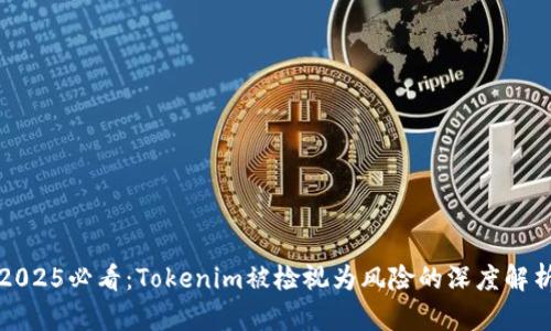 2025必看：Tokenim被检视为风险的深度解析