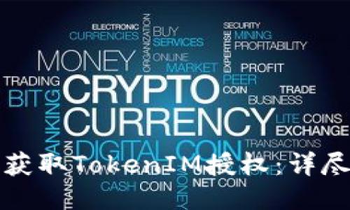 如何获取TokenIM授权：详尽指南