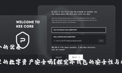 思考一个的优质

冷钱包里的数字资产安全吗？探究冷钱包的安全性与被盗风险